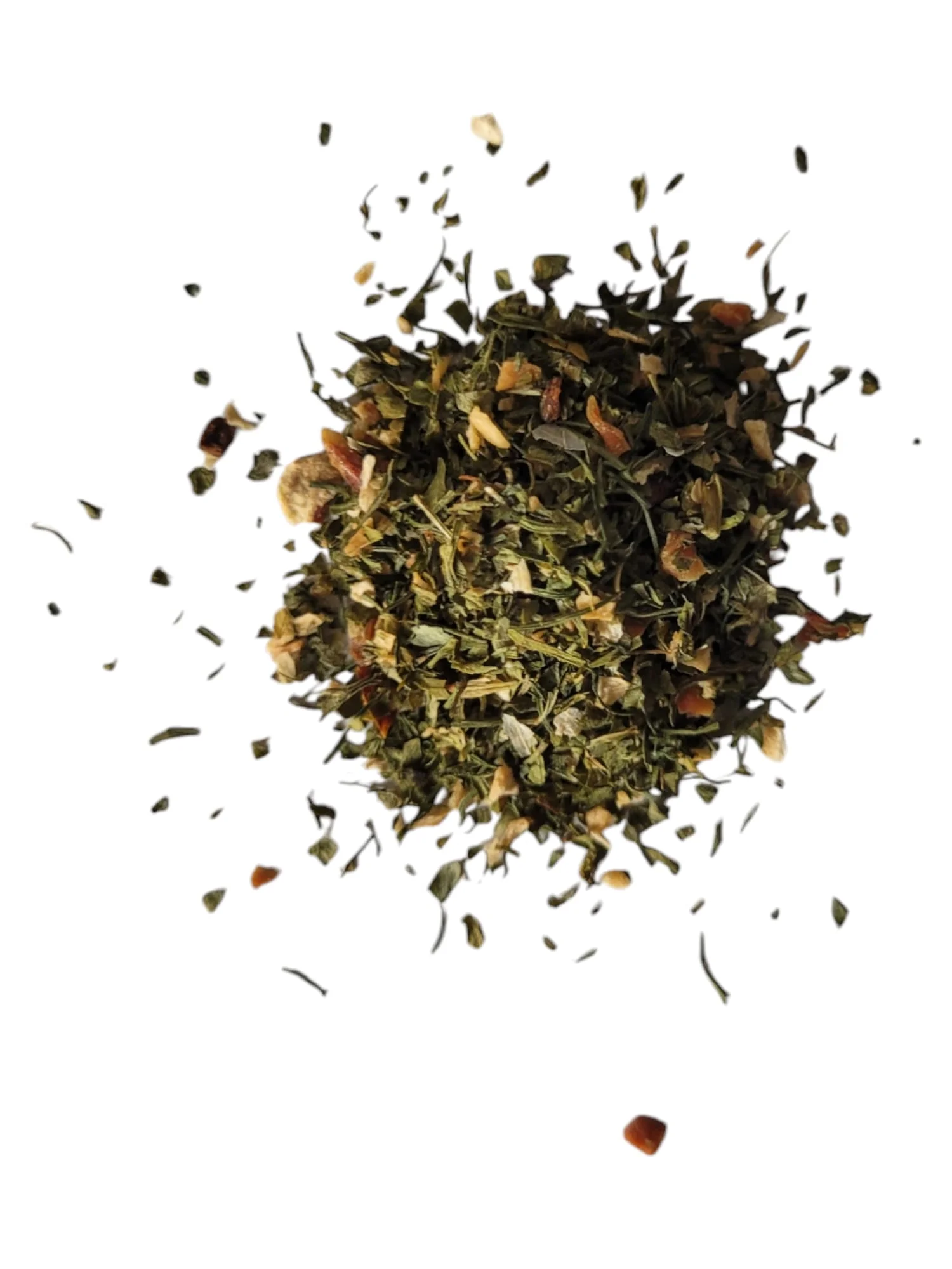 WhatsApp-Image-2024-11-06-at-10.46.57-6.jpeg-2