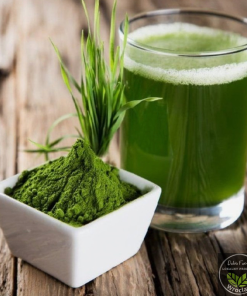 Wheatgrass w proszku – trawa pszeniczna 100% naturalna