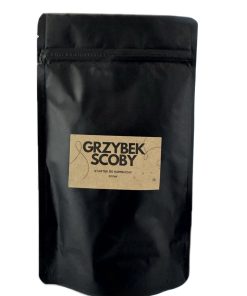 Grzybek SCOBY do Kombuchy