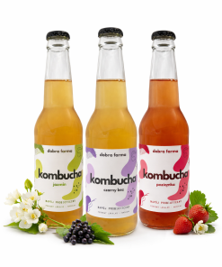 Kombucha zestaw 3 szt MIX 330ml