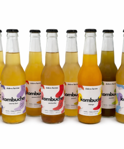 Kombucha klasyczna i smakowa 330 ml