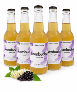 Kombucha zestaw 5 szt MIX 330ml